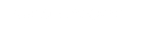 Chris Brown Logo in white