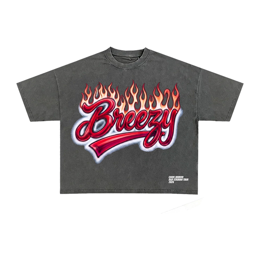 Gray t-shirt with Breezy in airbrush text with flames