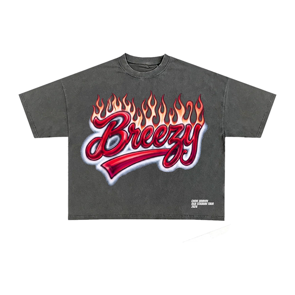 Breezy R&B Tour Vintage Charcoal Tee – Chris Brown